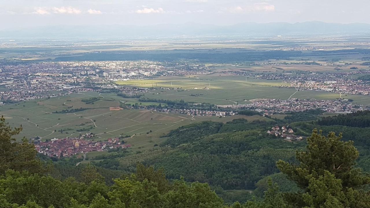 Les Iris Chambres D'Hote ニーデルモルシュヴィル・Niedermorschwihr-仏語 エクステリア 写真