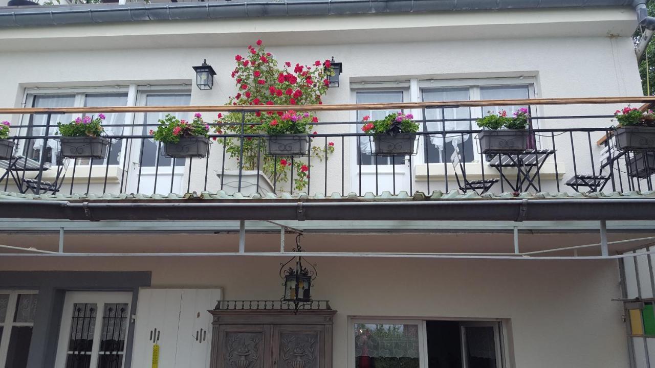 Les Iris Chambres D'Hote ニーデルモルシュヴィル・Niedermorschwihr-仏語 エクステリア 写真