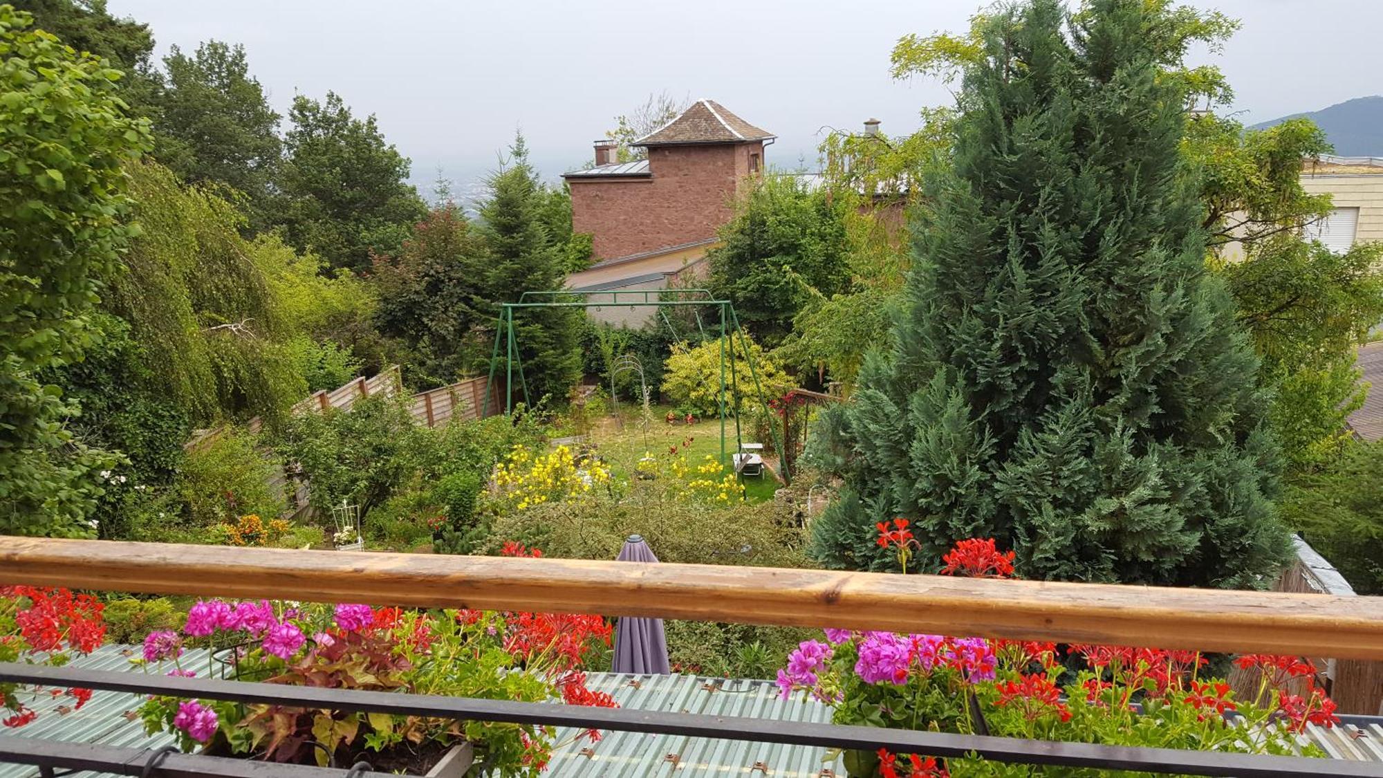 Les Iris Chambres D'Hote ニーデルモルシュヴィル・Niedermorschwihr-仏語 部屋 写真