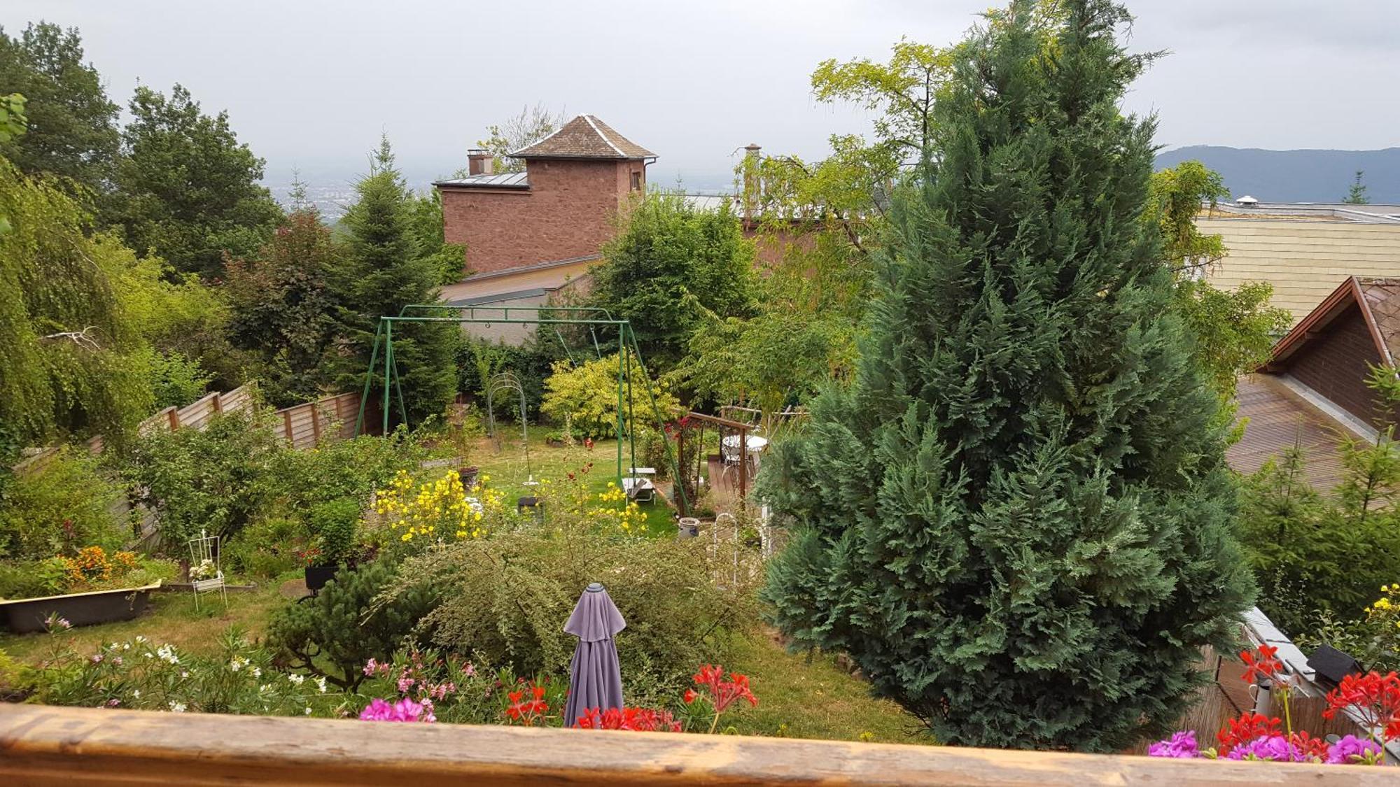 Les Iris Chambres D'Hote ニーデルモルシュヴィル・Niedermorschwihr-仏語 部屋 写真
